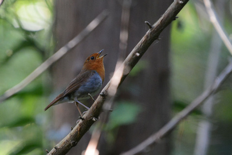 DSC_7872.jpg