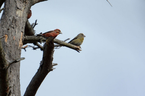 DSC_7883.jpg