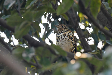 DSC_7885.jpg