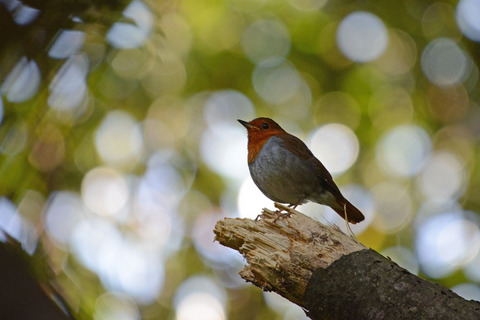 DSC_7901.jpg