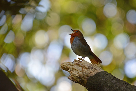 DSC_7903.jpg