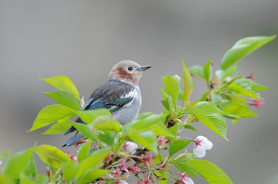 DSC_7937.jpg