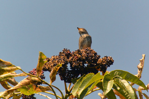 DSC_8009.jpg