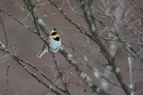 DSC_8021.jpg
