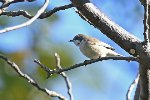 DSC_8023.jpg