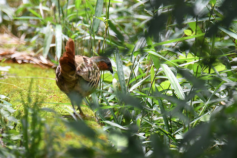 DSC_8038.jpg