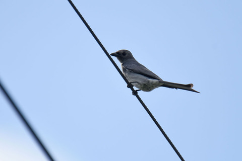DSC_8050.jpg