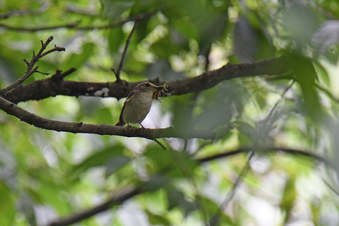 DSC_8076.jpg
