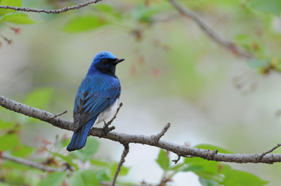 DSC_8084.jpg