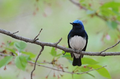 DSC_8102.jpg