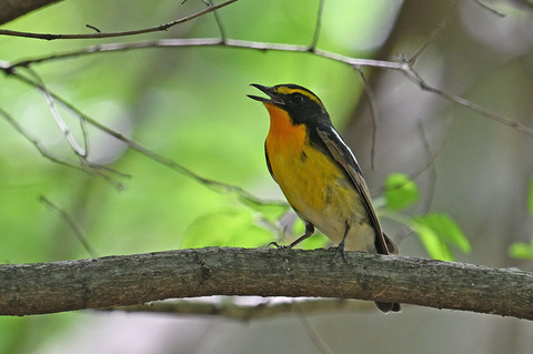 DSC_8109.jpg