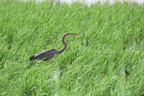 DSC_8200.jpg