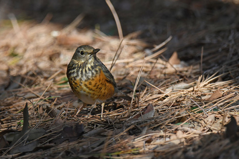 DSC_8280.jpg