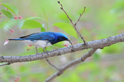 DSC_8291.jpg