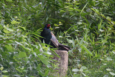 DSC_8327.jpg