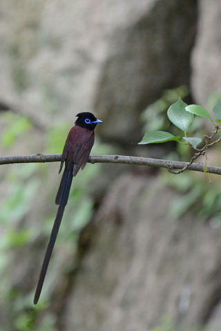DSC_8337.jpg