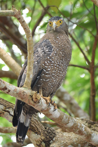 DSC_8395.jpg