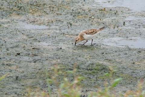 DSC_8413.jpg