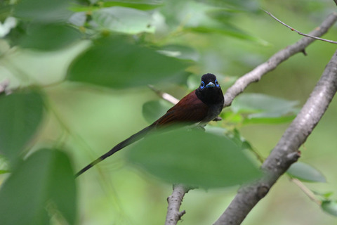 DSC_8424.jpg
