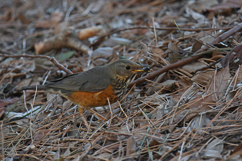 DSC_8427.jpg