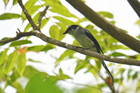 DSC_8431.jpg