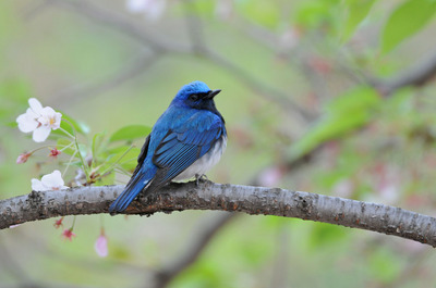 DSC_8447.jpg