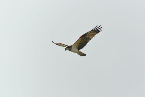 DSC_8469.jpg