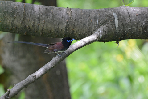 DSC_8486.jpg