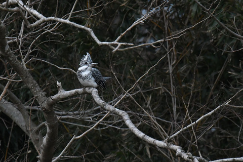 DSC_8569.jpg
