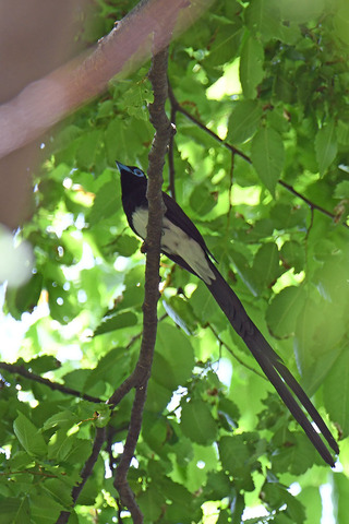DSC_8582.jpg