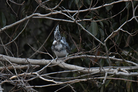DSC_8614.jpg