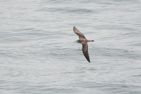 DSC_8624.jpg
