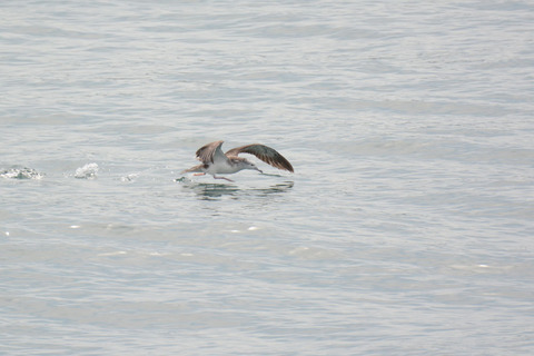 DSC_8638.jpg