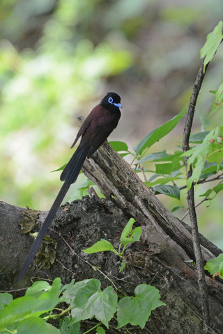 DSC_8649.jpg