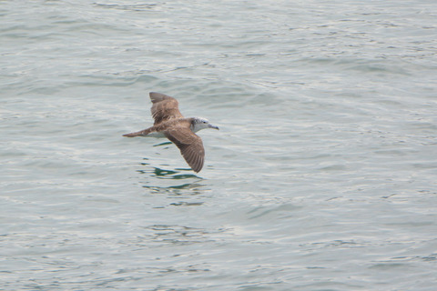 DSC_8657.jpg