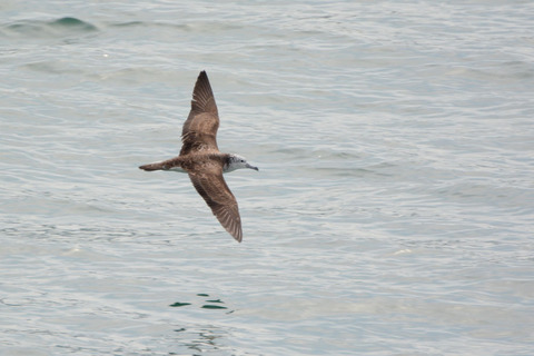 DSC_8660.jpg
