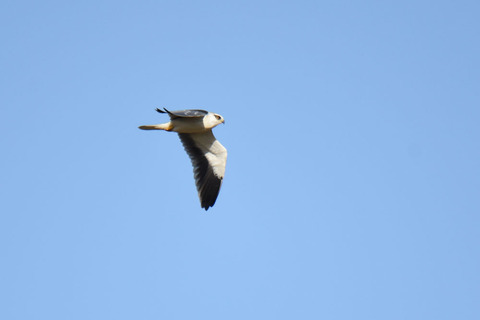 DSC_8664.jpg