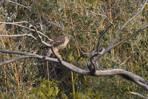 DSC_8671.jpg