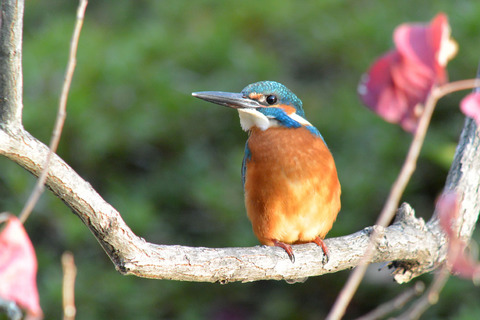 DSC_8676.jpg