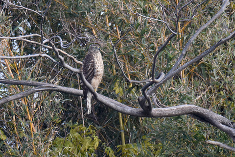 DSC_8691.jpg