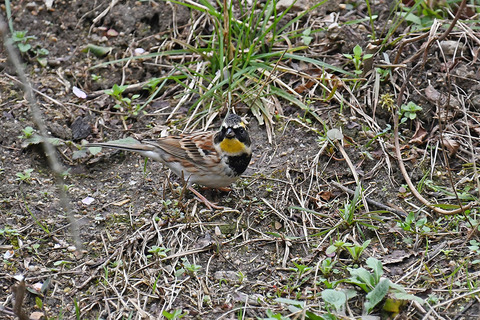 DSC_8695.jpg