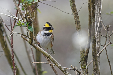 DSC_8714.jpg