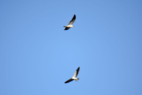 DSC_8714.jpg