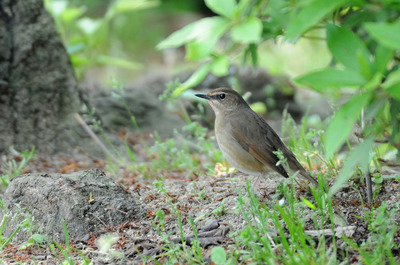 DSC_8719.jpg