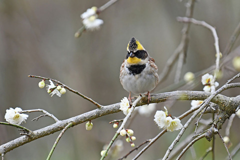 DSC_8734.jpg