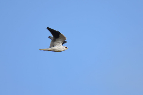 DSC_8744.jpg