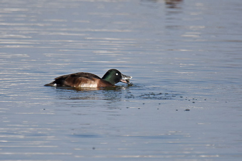 DSC_8770.jpg