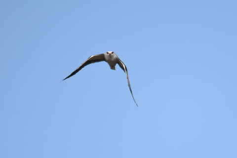DSC_8794.jpg