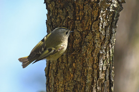 DSC_8819.jpg