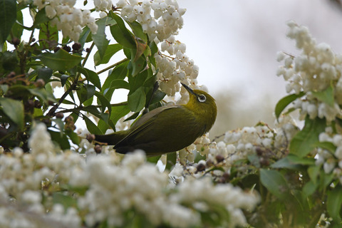 DSC_8820.jpg